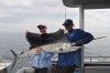 Sailfish #2 off Broome